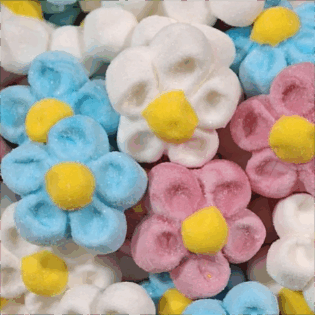 Pianki słodkie "Kwiaty"